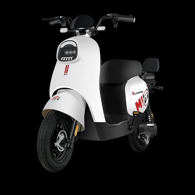 Factory direct sales e bike made in china storage electric bicycle battery adult electric