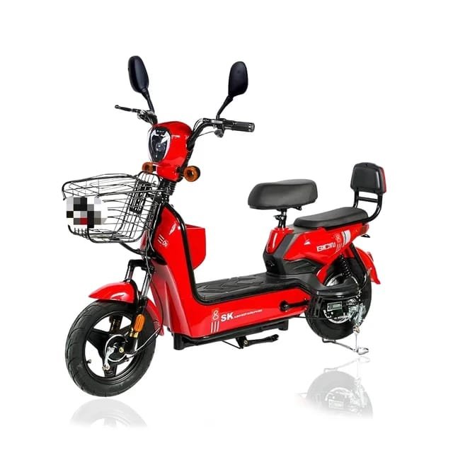 Factory direct sales e bike made in china storage electric bicycle battery adult electric