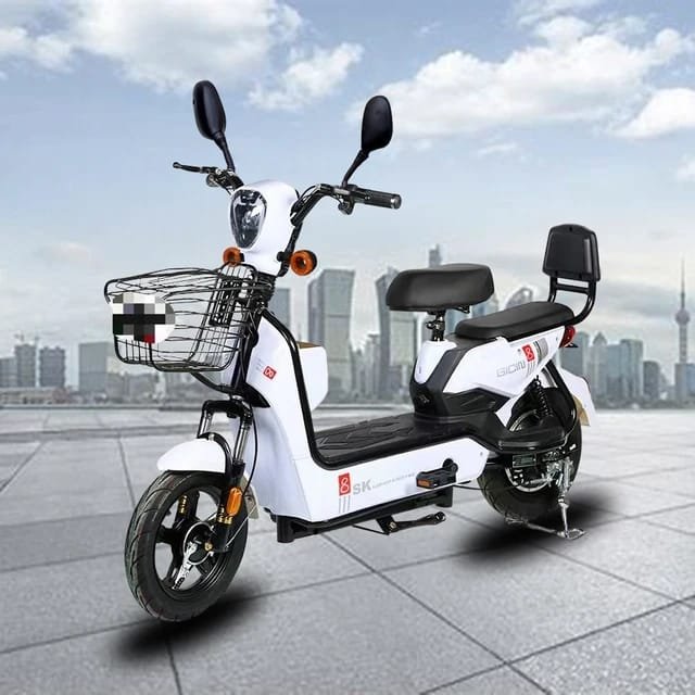 Factory direct sales e bike made in china storage electric bicycle battery adult electric