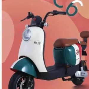 Factory direct sales e bike made in china storage electric bicycle battery adult electric