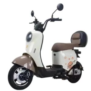 Factory direct sales e bike made in china storage electric bicycle battery adult electric