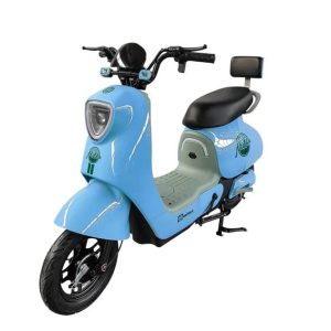 Factory direct sales e bike made in china storage electric bicycle battery adult electric