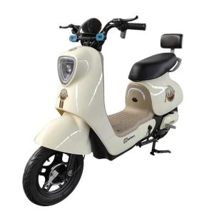 Factory direct sales e bike made in china storage electric bicycle battery adult electric