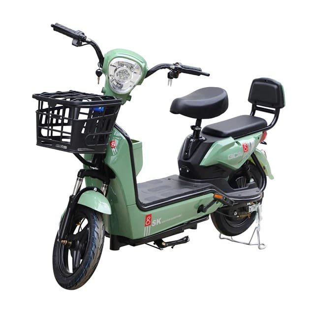 Factory direct sales e bike made in china storage electric bicycle battery adult electric
