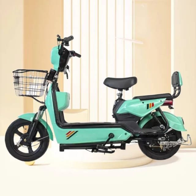 Factory direct sales e bike made in china storage electric bicycle battery adult electric
