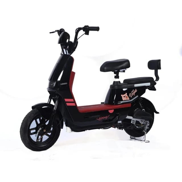 Factory direct sales e bike made in china storage electric bicycle battery adult electric